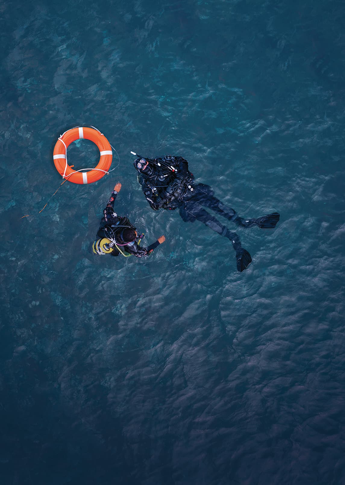 Rescue training scenario